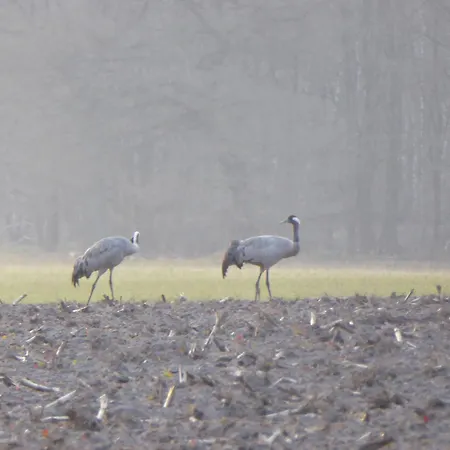 Wassermuehle Stemmen דירה *