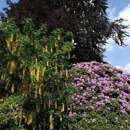Wassermuehle Stemmen Kirchlinteln