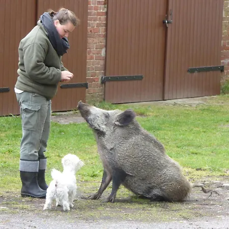 Wassermuehle Stemmen * Kirchlinteln