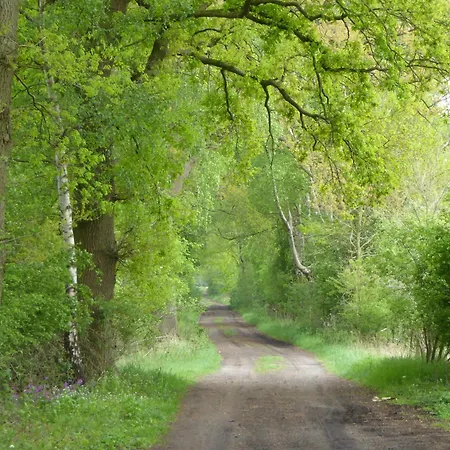 Wassermuehle Stemmen דירה *